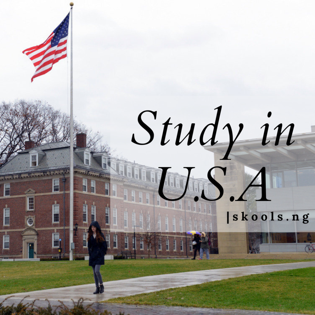 Undergraduate Scholarship for International students