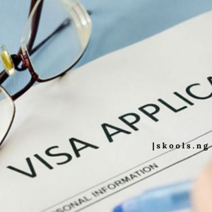visa application requirements