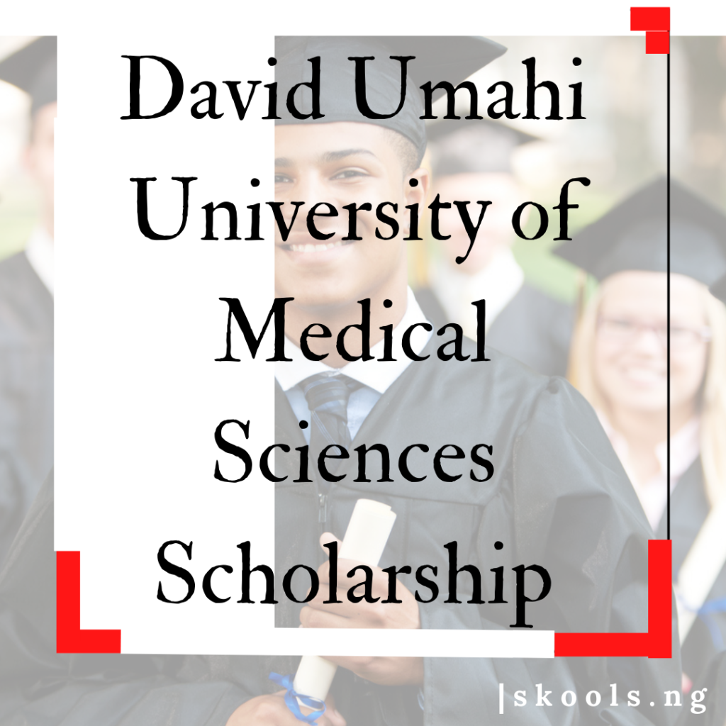 David Umahi University of Medical Sciences Scholarship